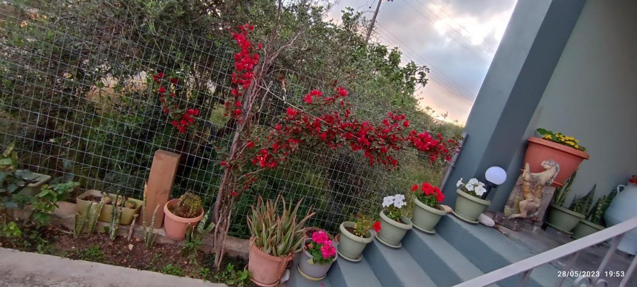 Marilidiahouse Villa Tzigkouna Kültér fotó